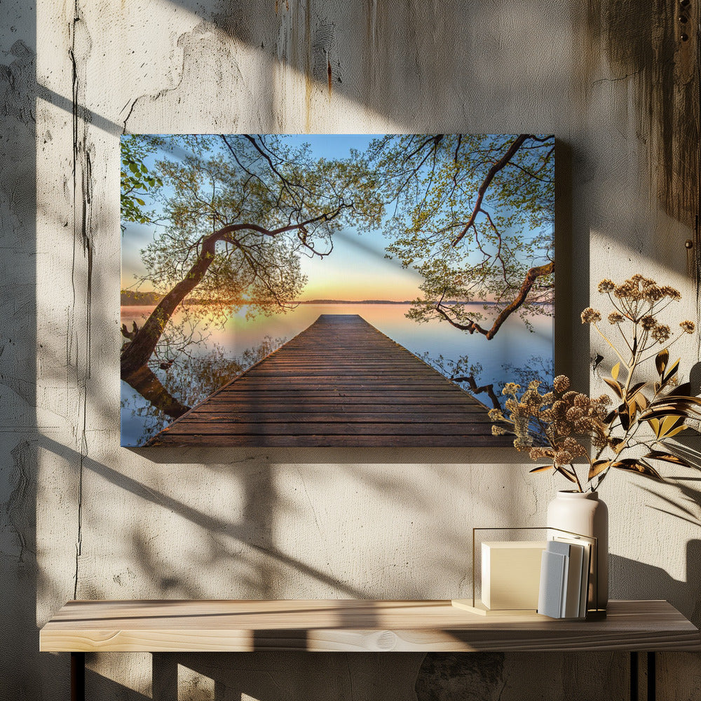Framed | Canvas
