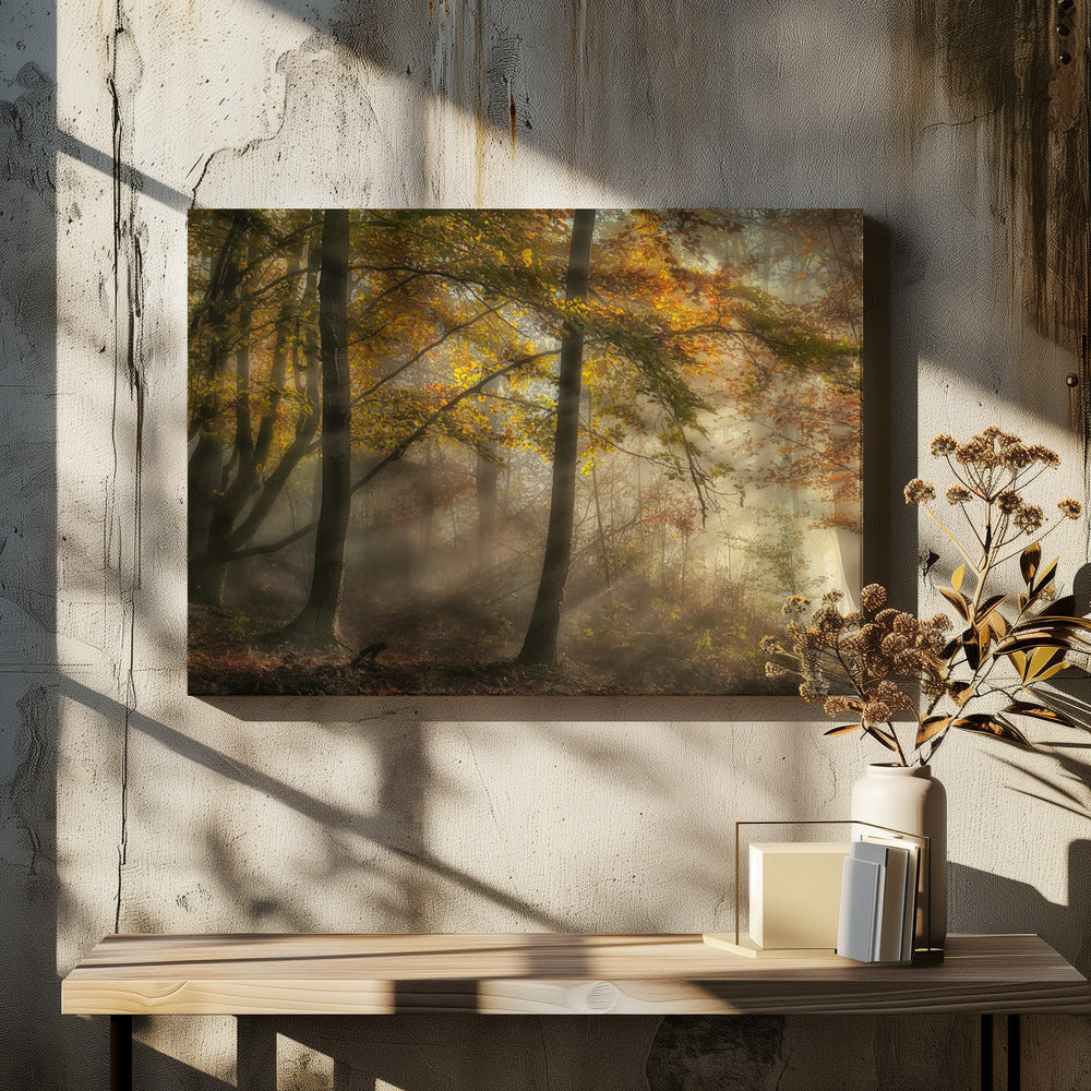 The lights of the forest | Canvas