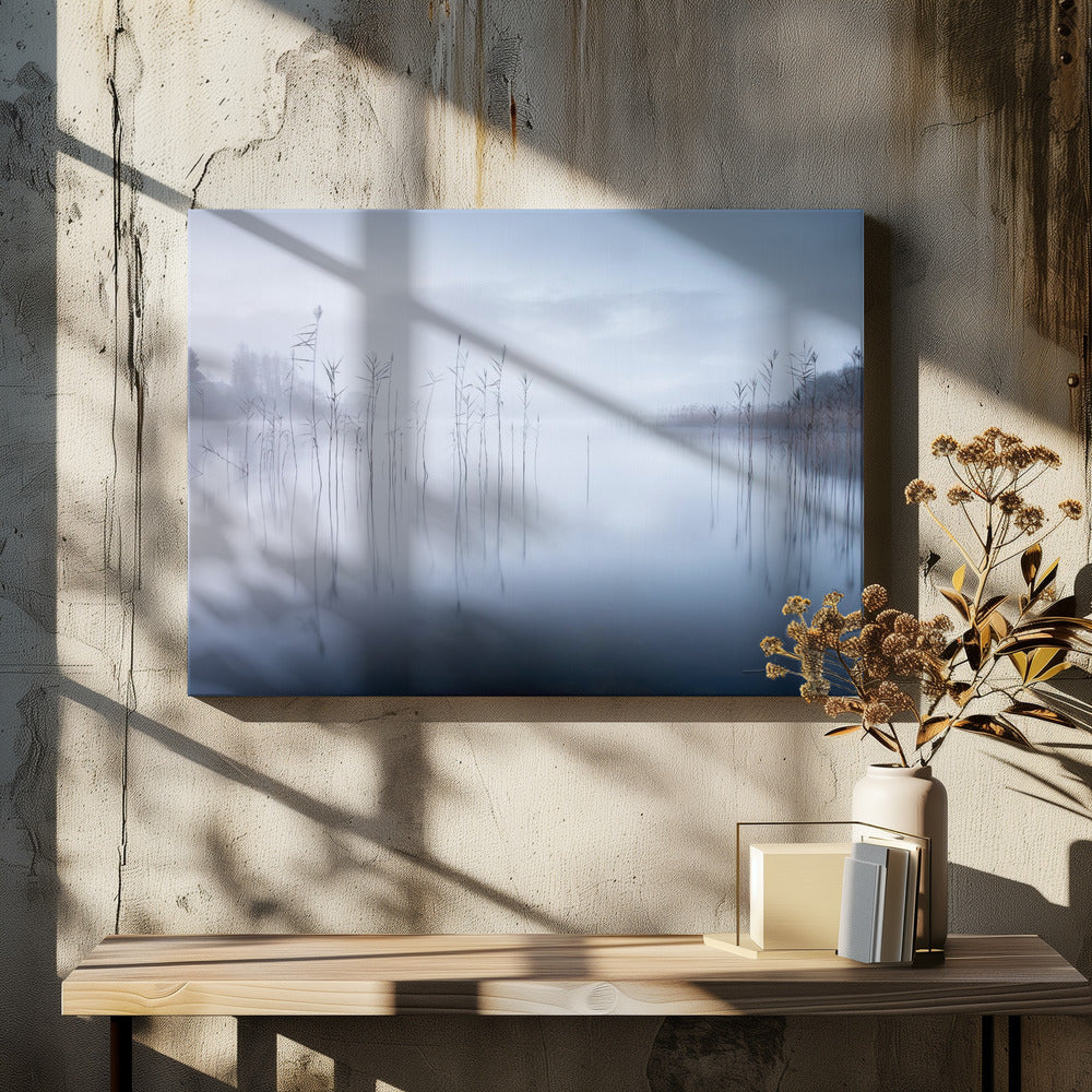 Untitled | Canvas