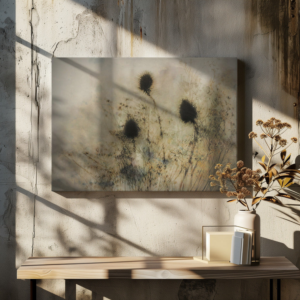 Seed boxes | Canvas