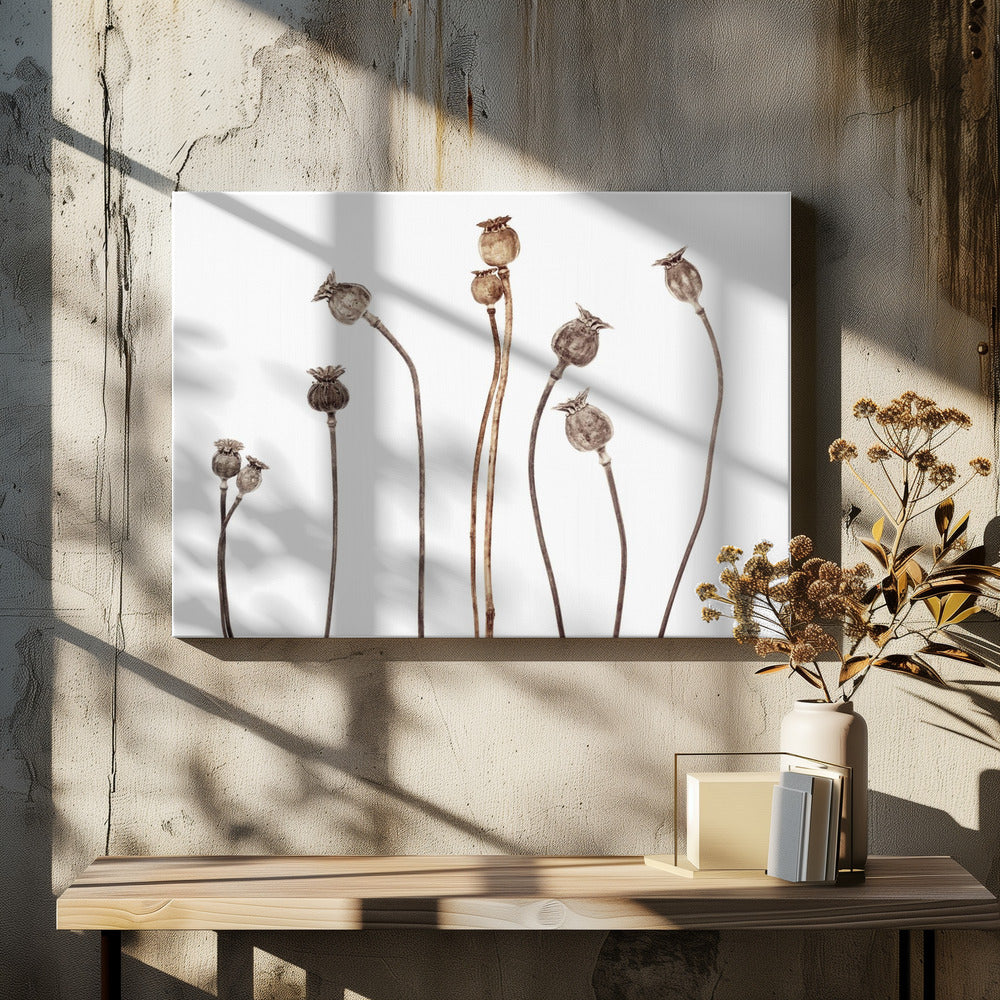 Poppies | Canvas