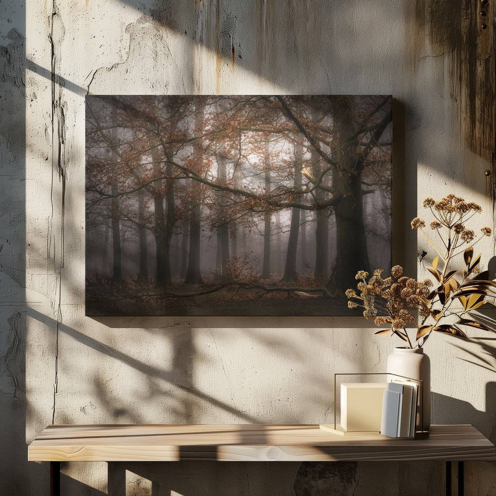 Foggy memory of the past | Canvas