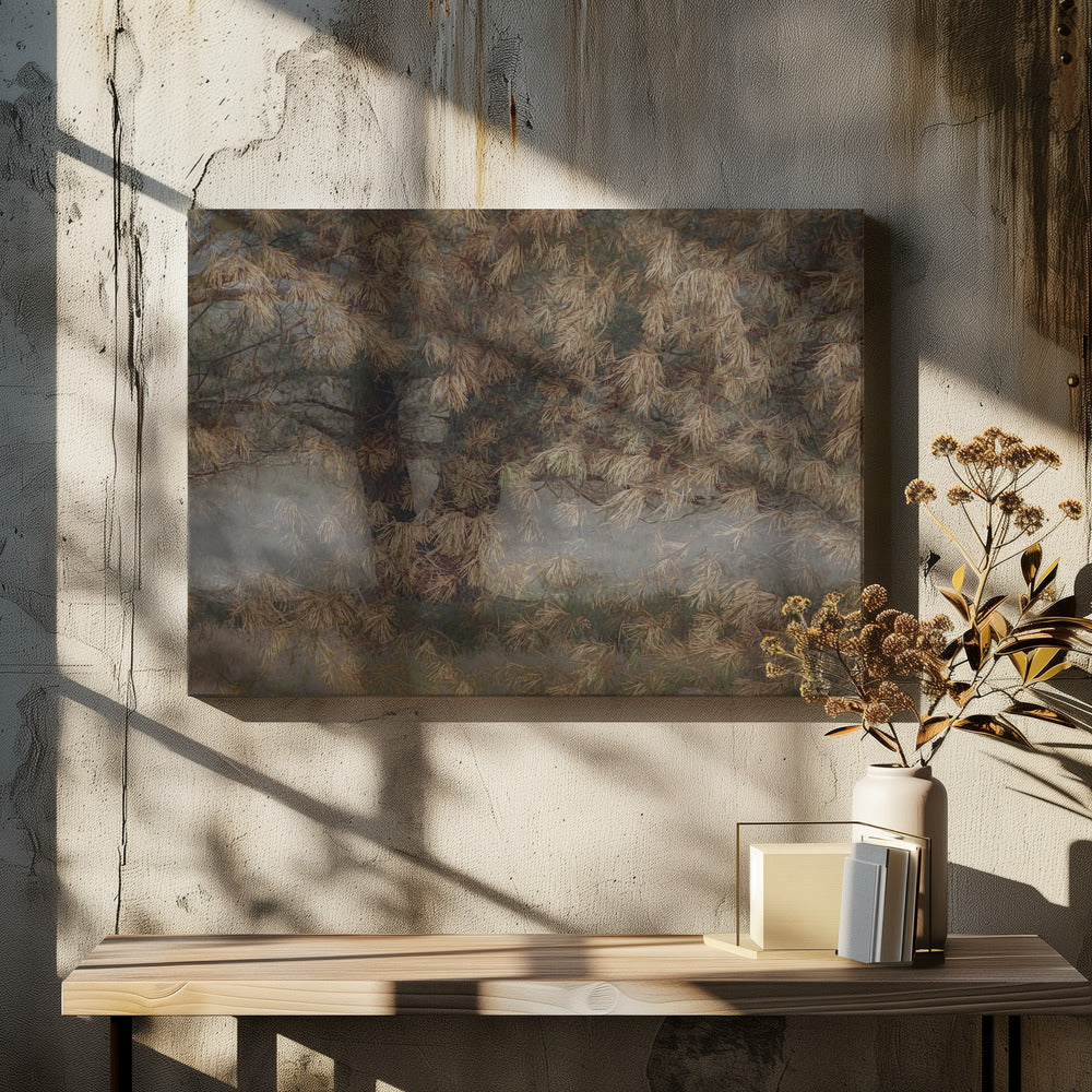 Pine tree | Canvas