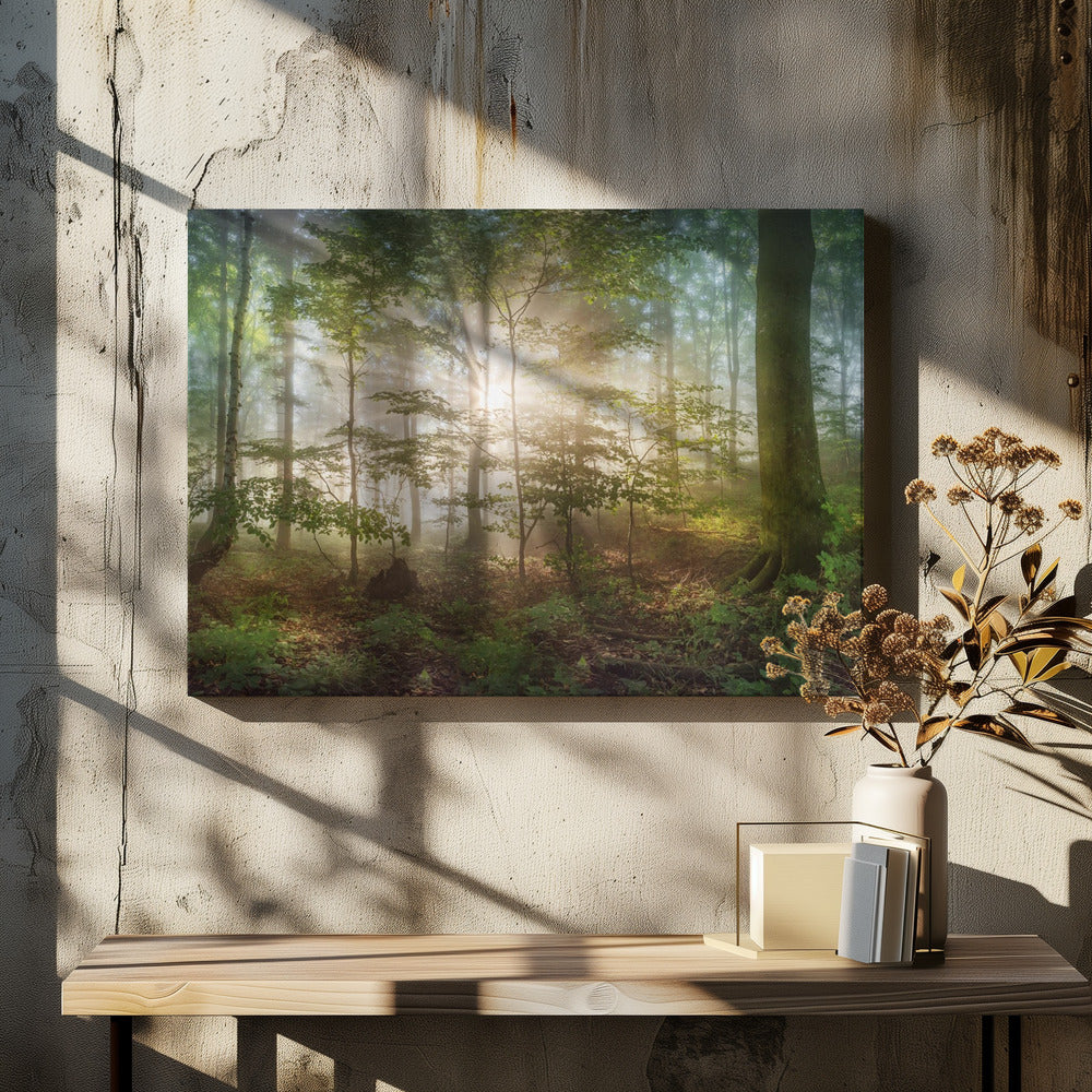 morning sun | Canvas