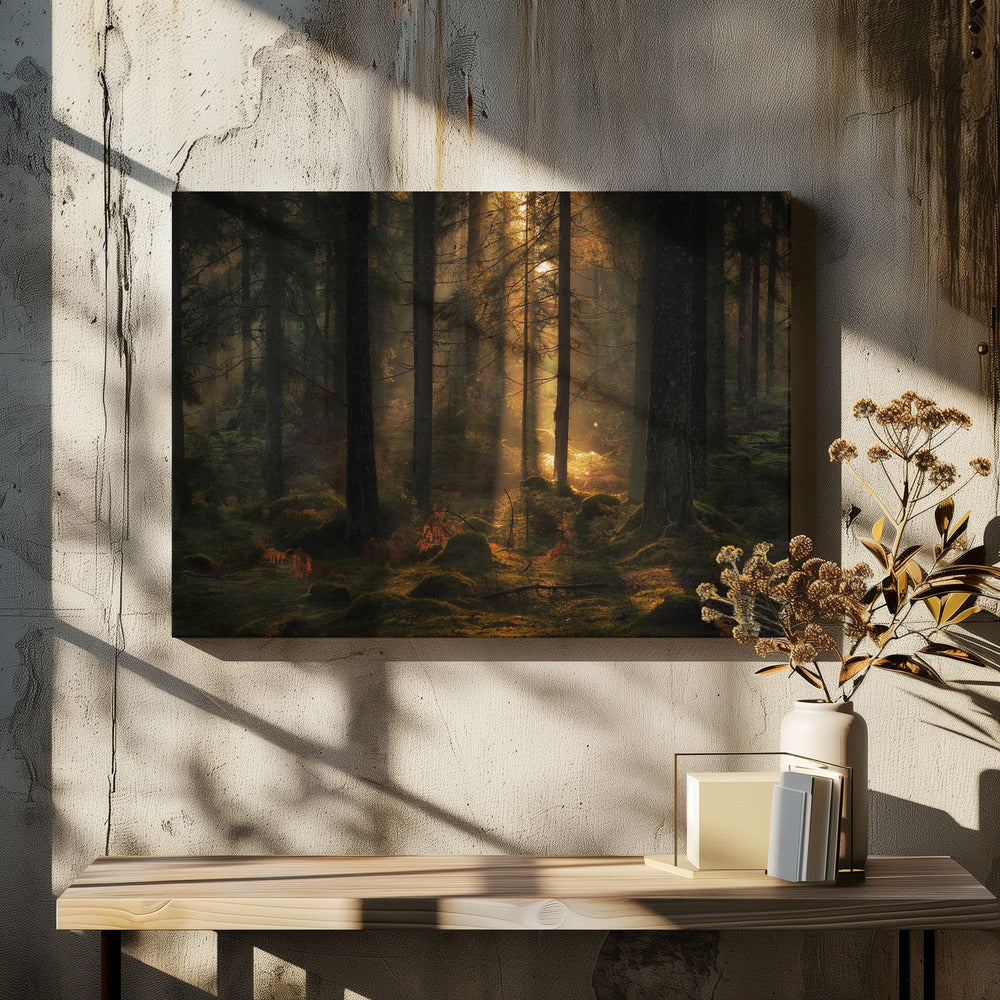 The light in the forest | Canvas