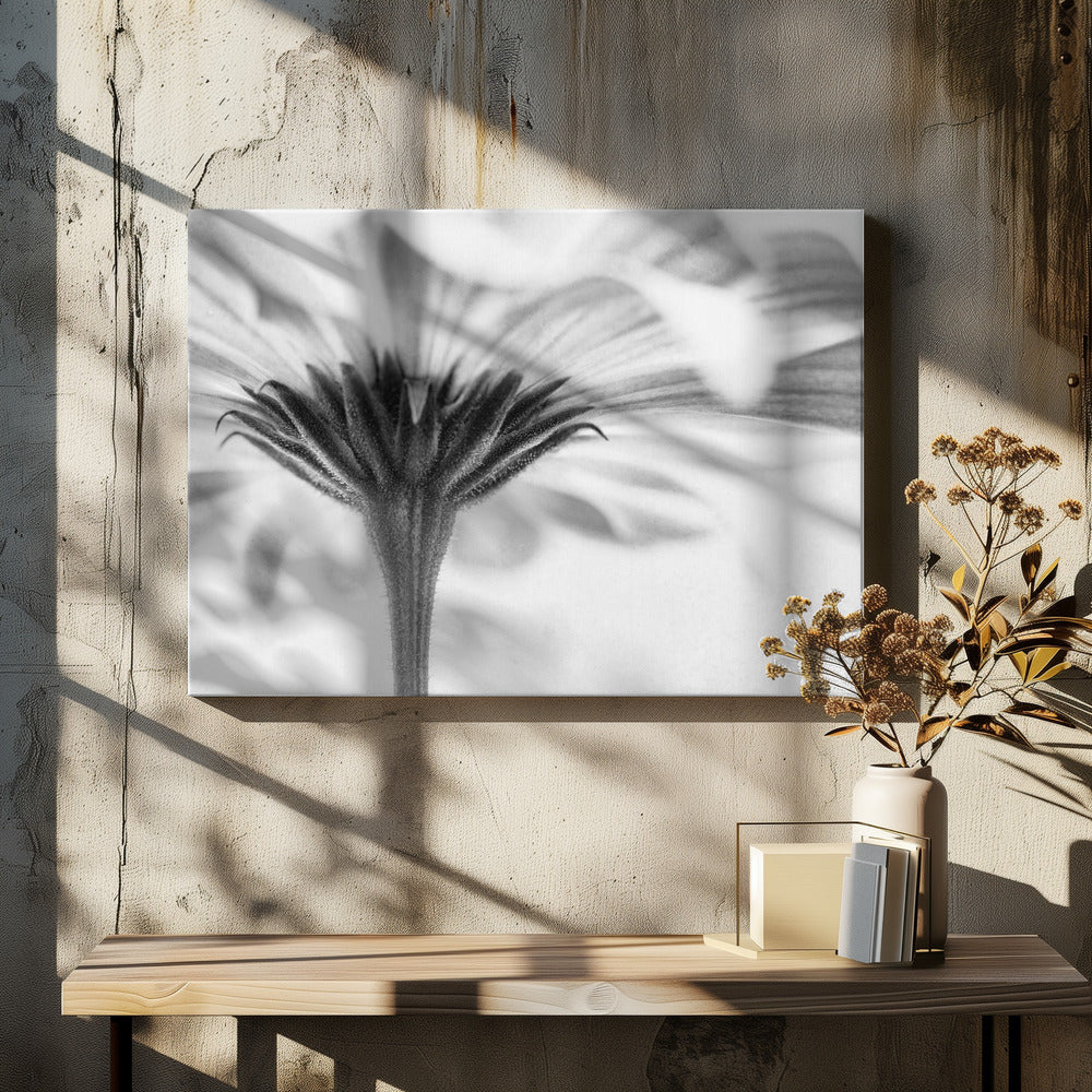 Touched | Canvas
