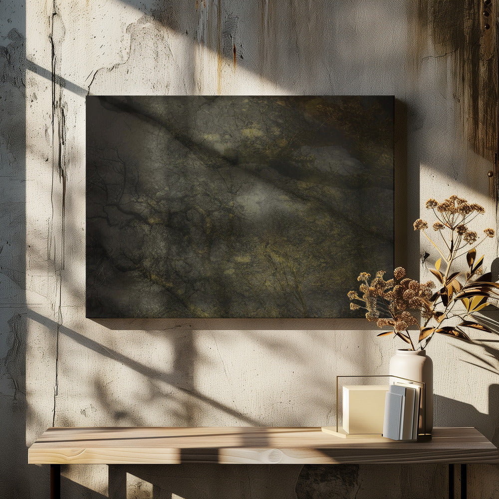 Old forrest | Canvas
