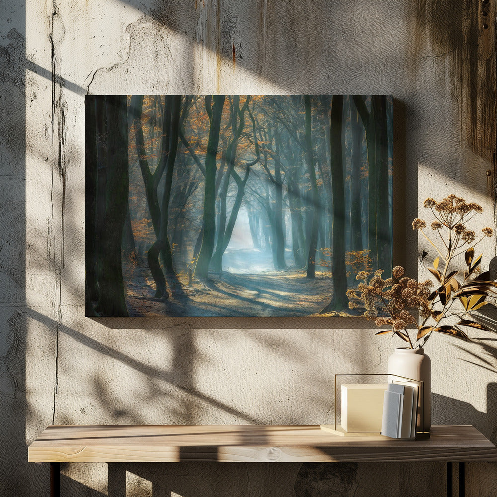 Cold Light | Canvas