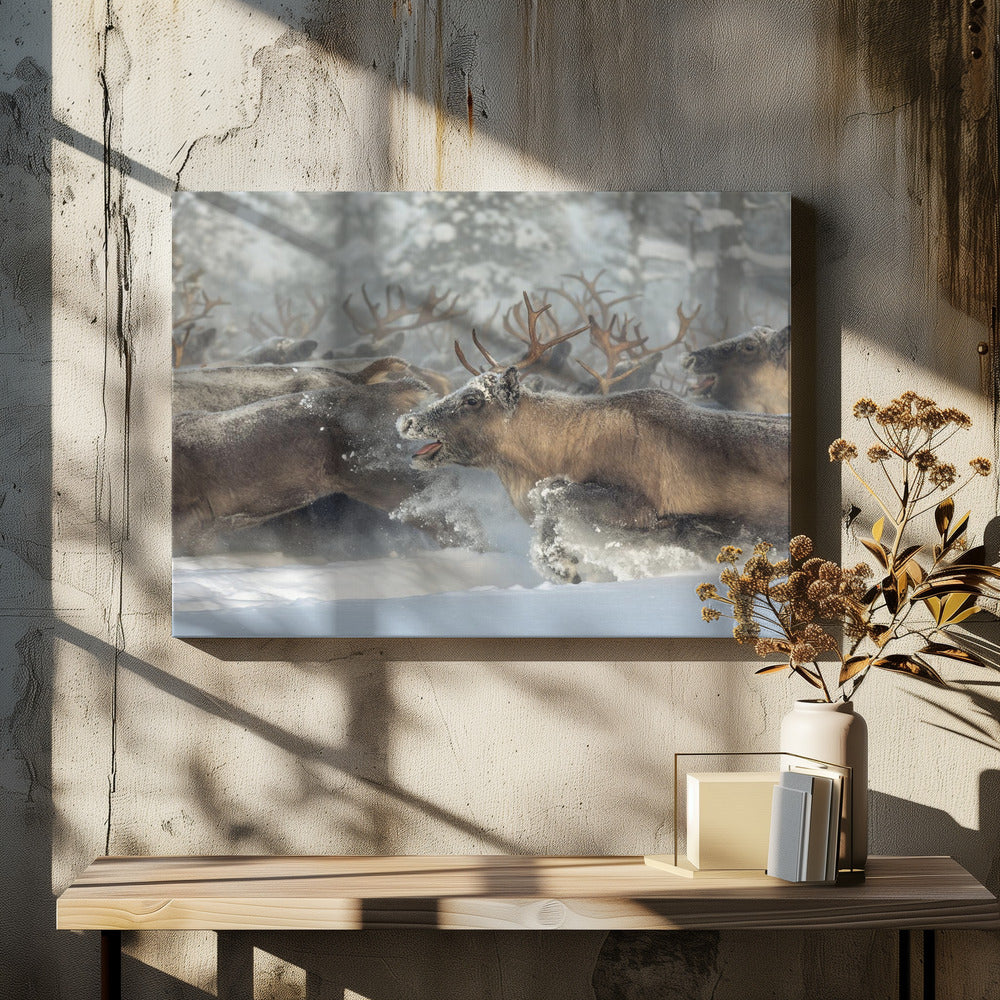 Reindeers III | Canvas