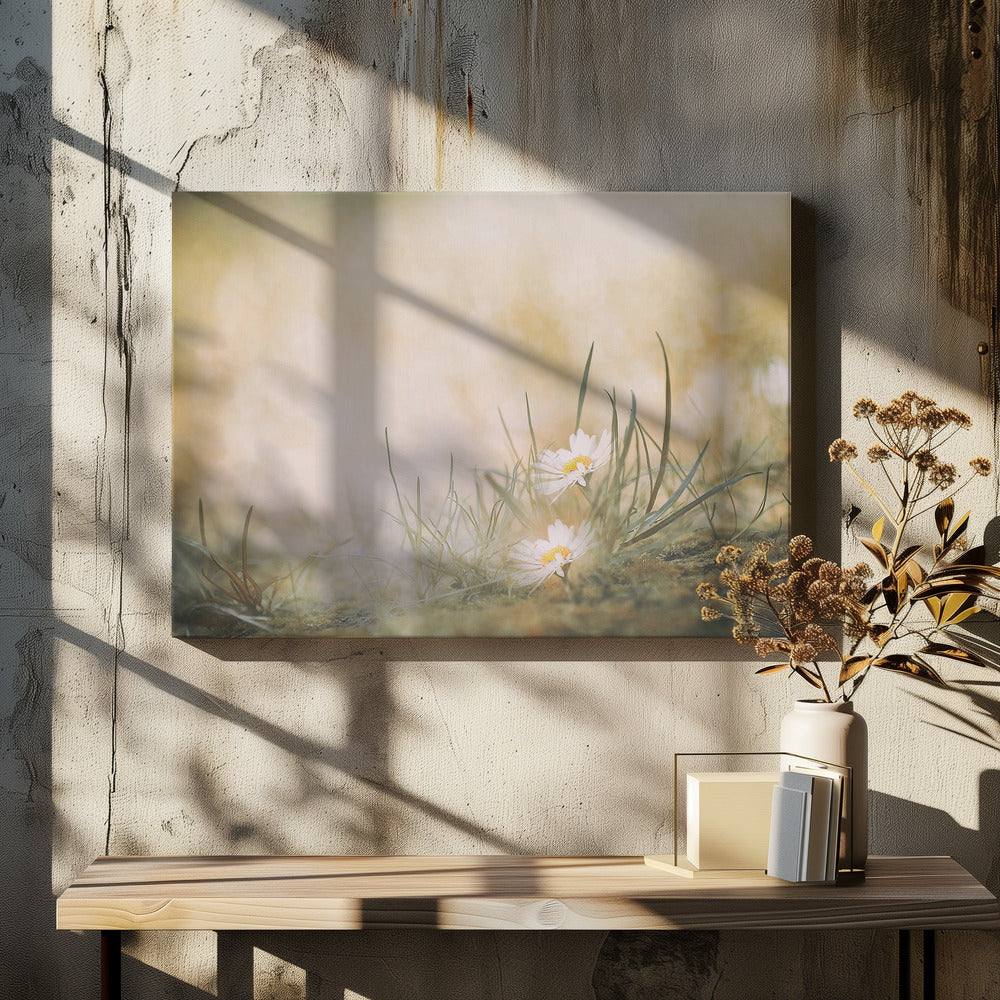 Untitled | Canvas