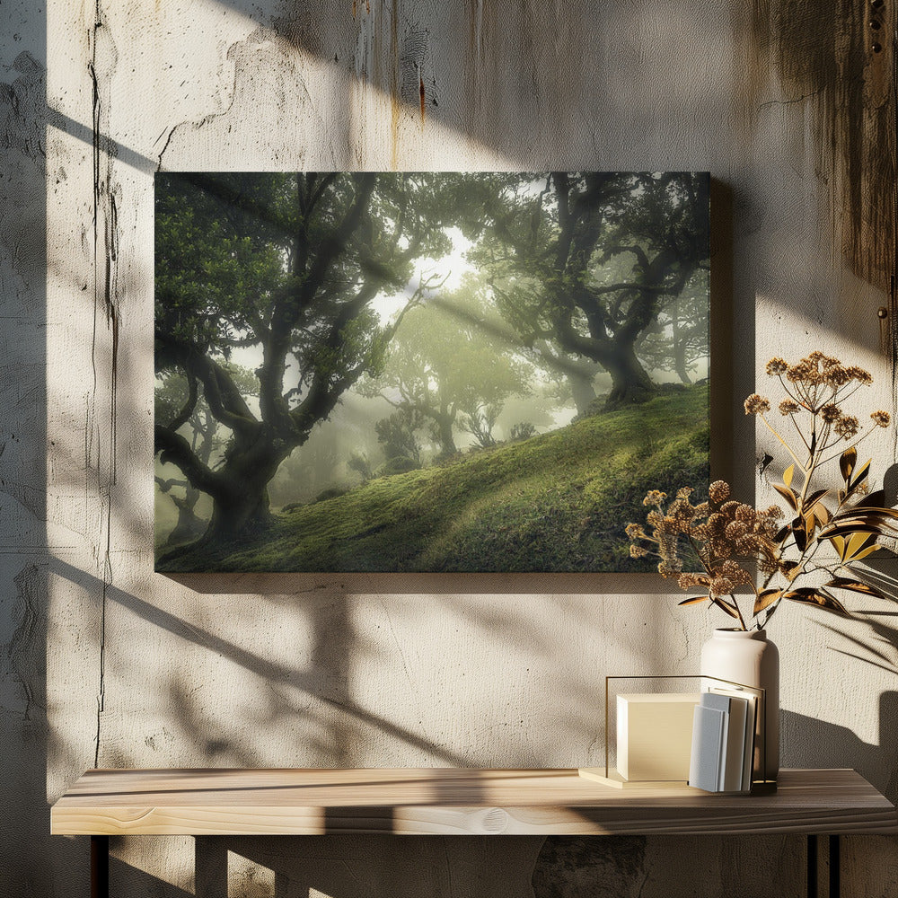 Enchanted Forest | Canvas
