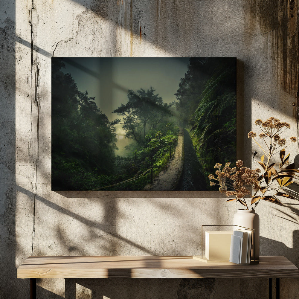 Levada Walk | Canvas
