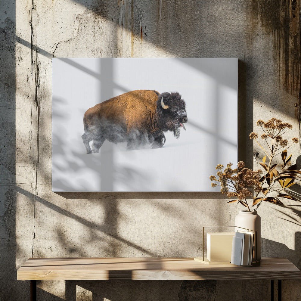 Bison in the Snow | Canvas