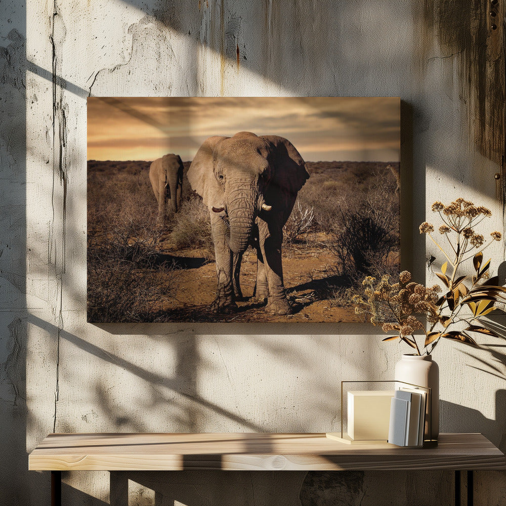 Big | Canvas