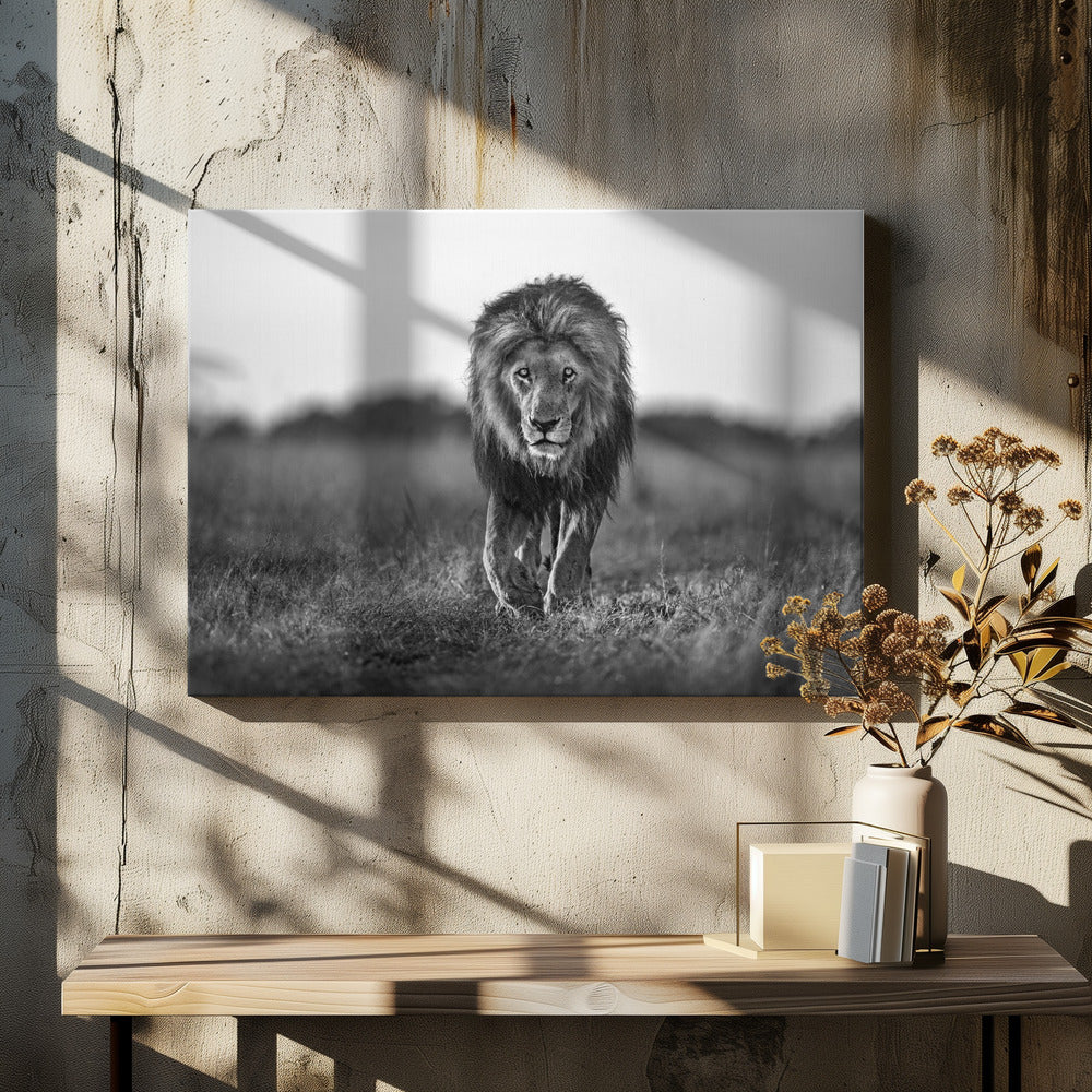 Old boy | Canvas