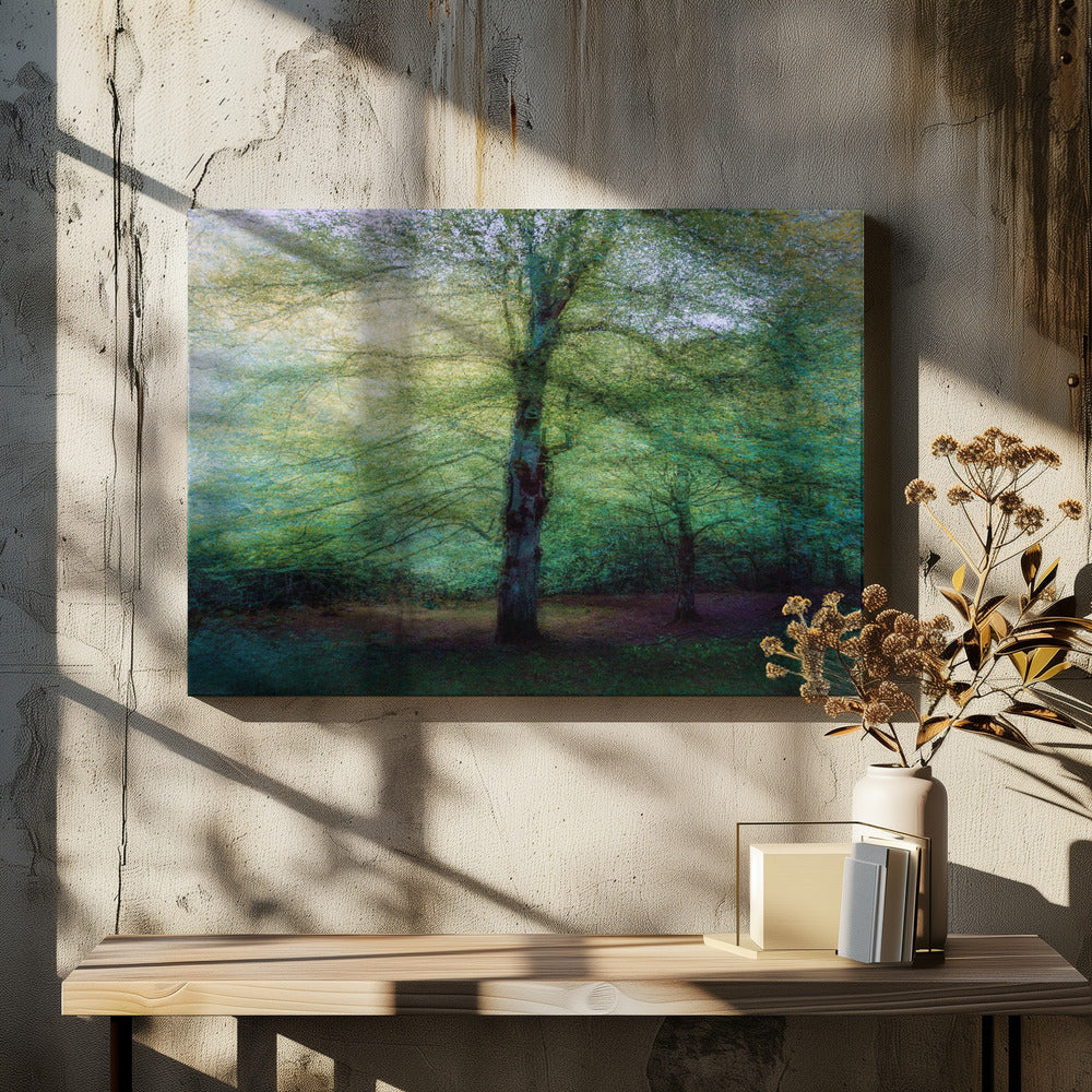forest | Canvas