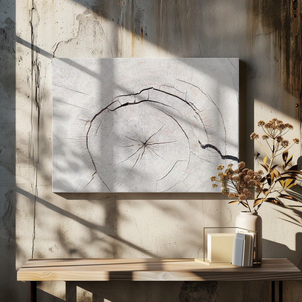 Texture 05 | Canvas