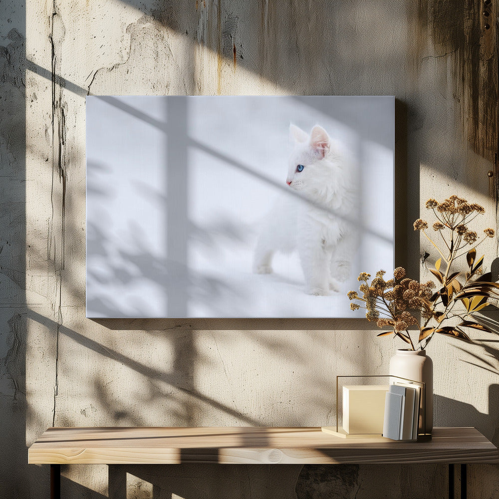 White as Snow | Canvas