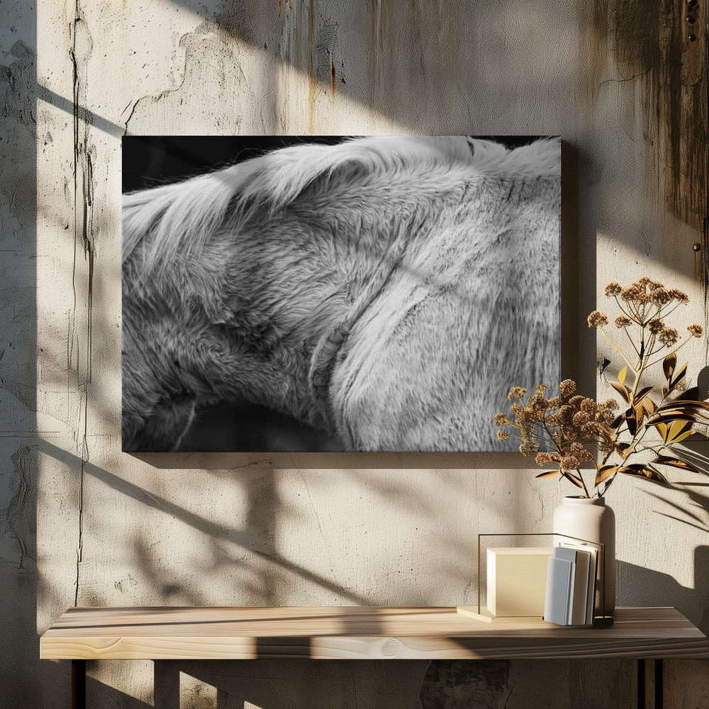 Horse II | Canvas