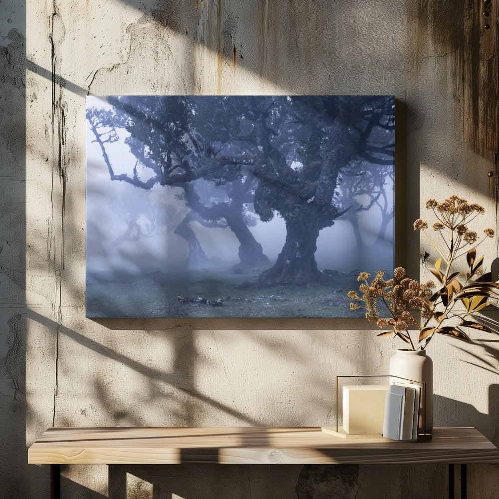 Blue Woods | Canvas