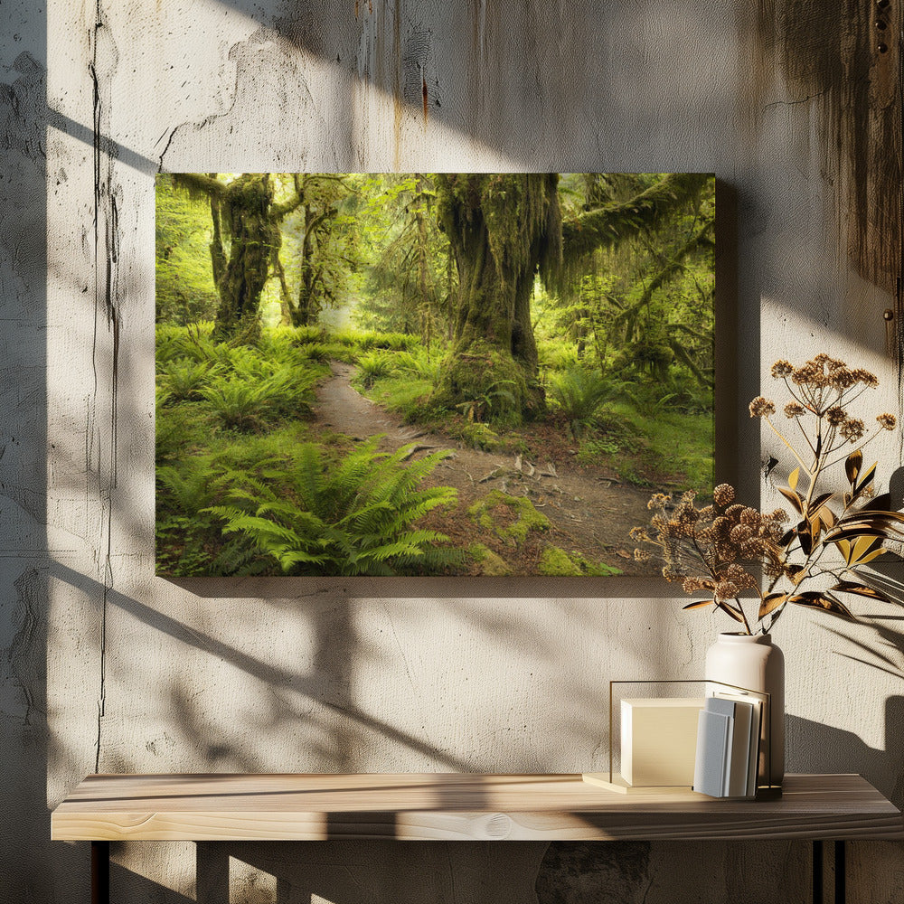 Hoh Rainforest | Canvas