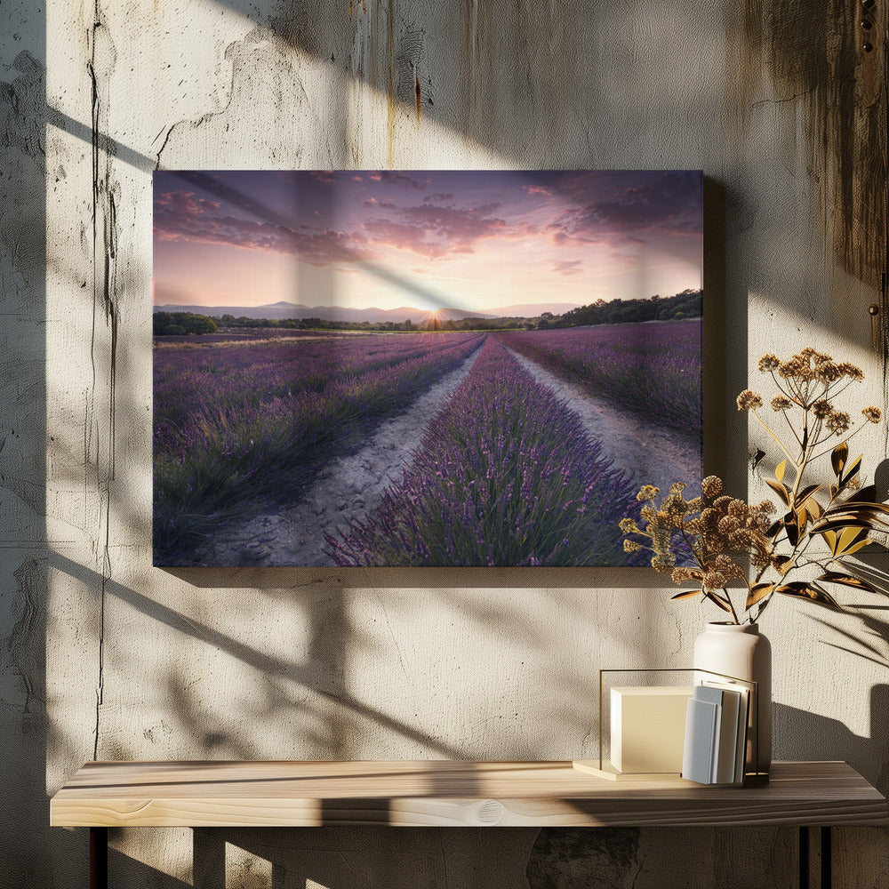 Purple Provence | Canvas