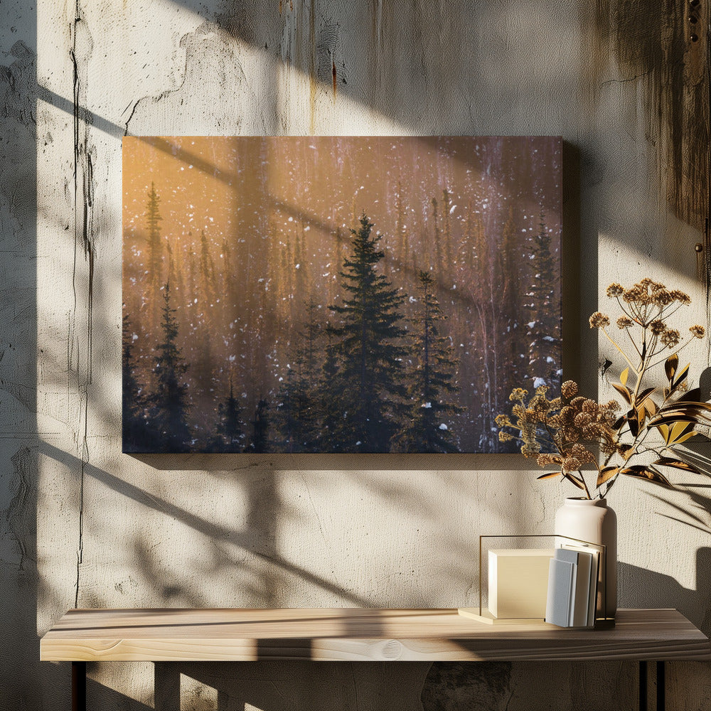 Snow Flakes | Canvas