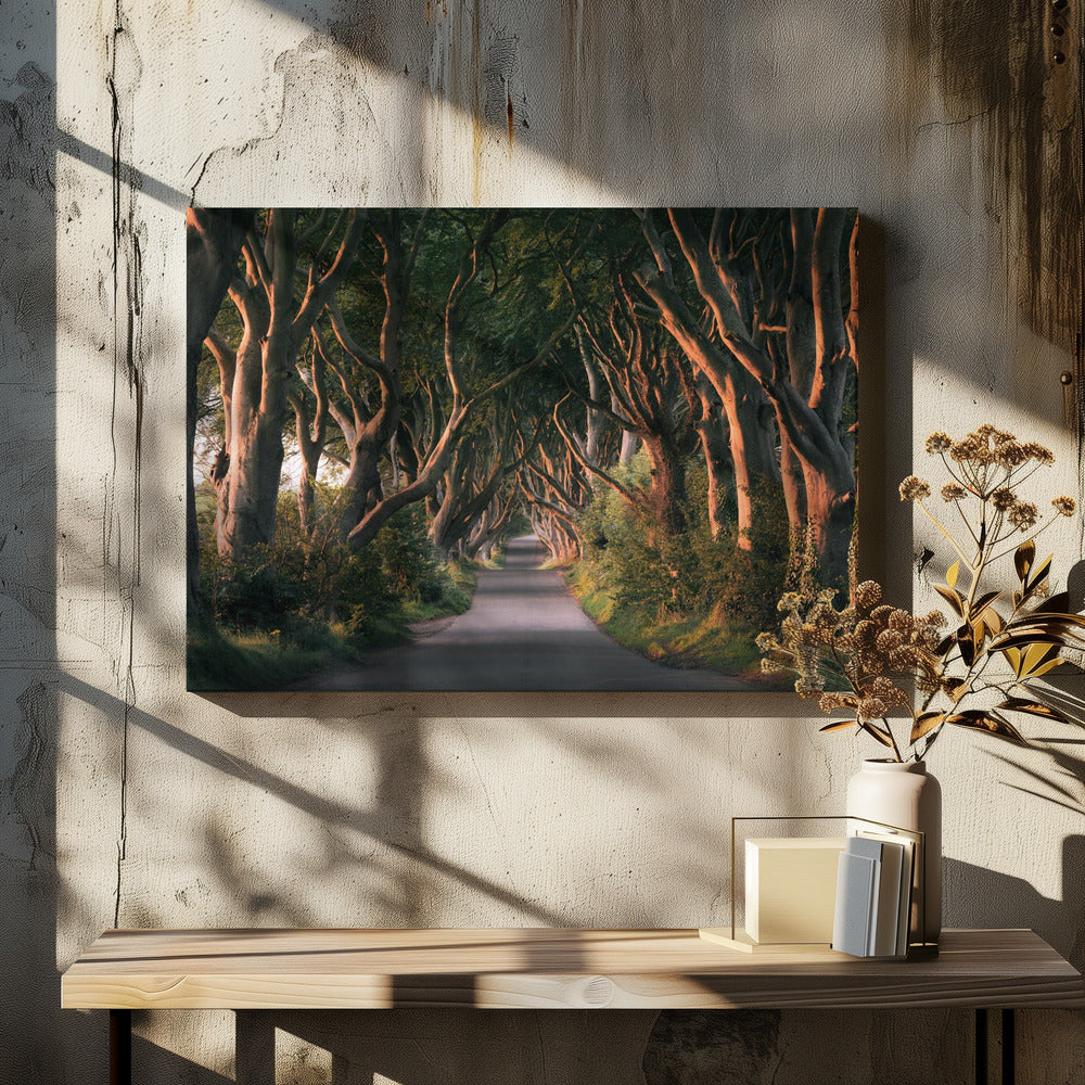Red Avenue | Canvas