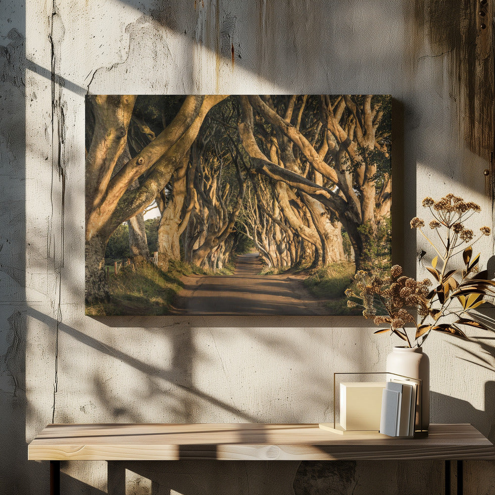 The Avenue | Canvas