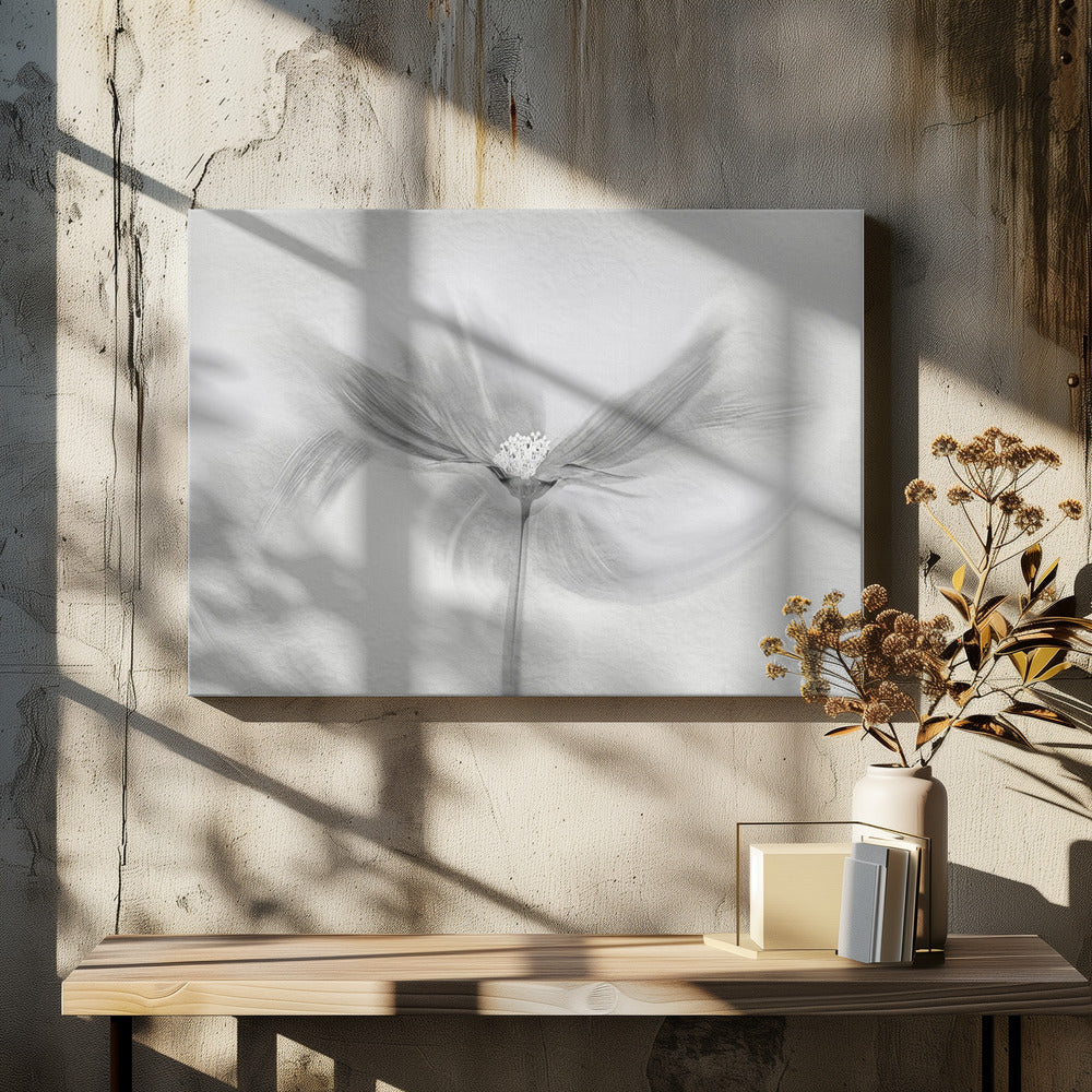 Dancing Cosmos | Canvas