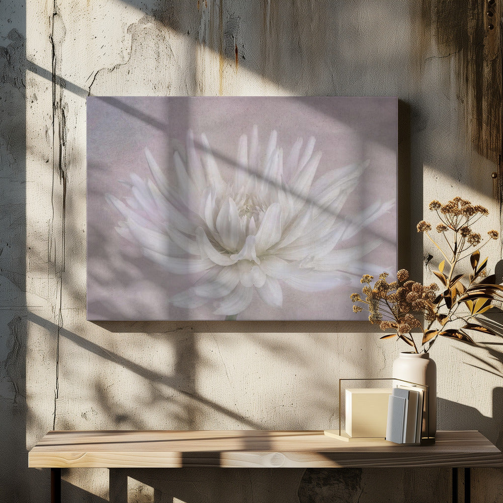 White | Canvas
