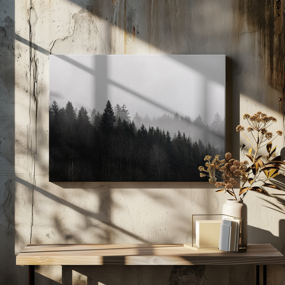Foggy Woods 7 | Canvas