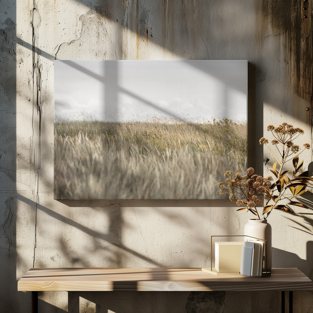 Dunes and Clouds 2 | Canvas