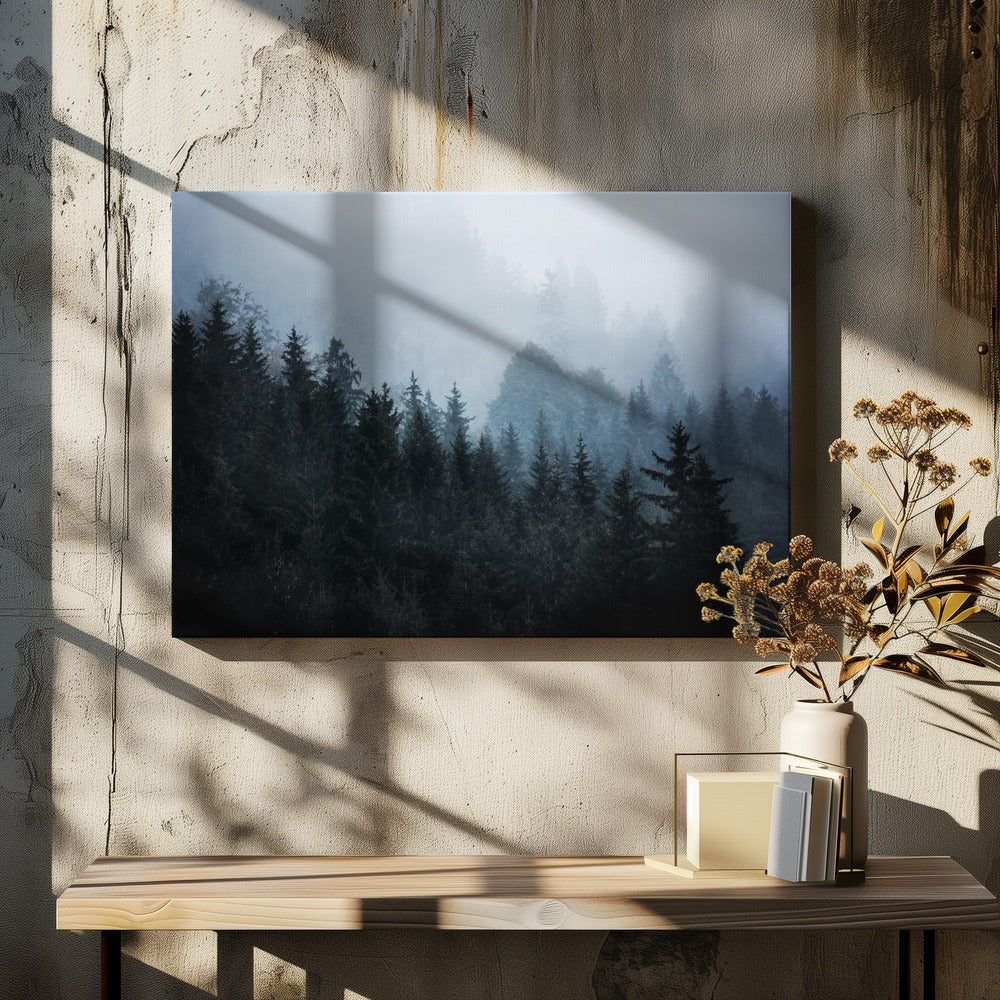 Foggy Woods 5 | Canvas