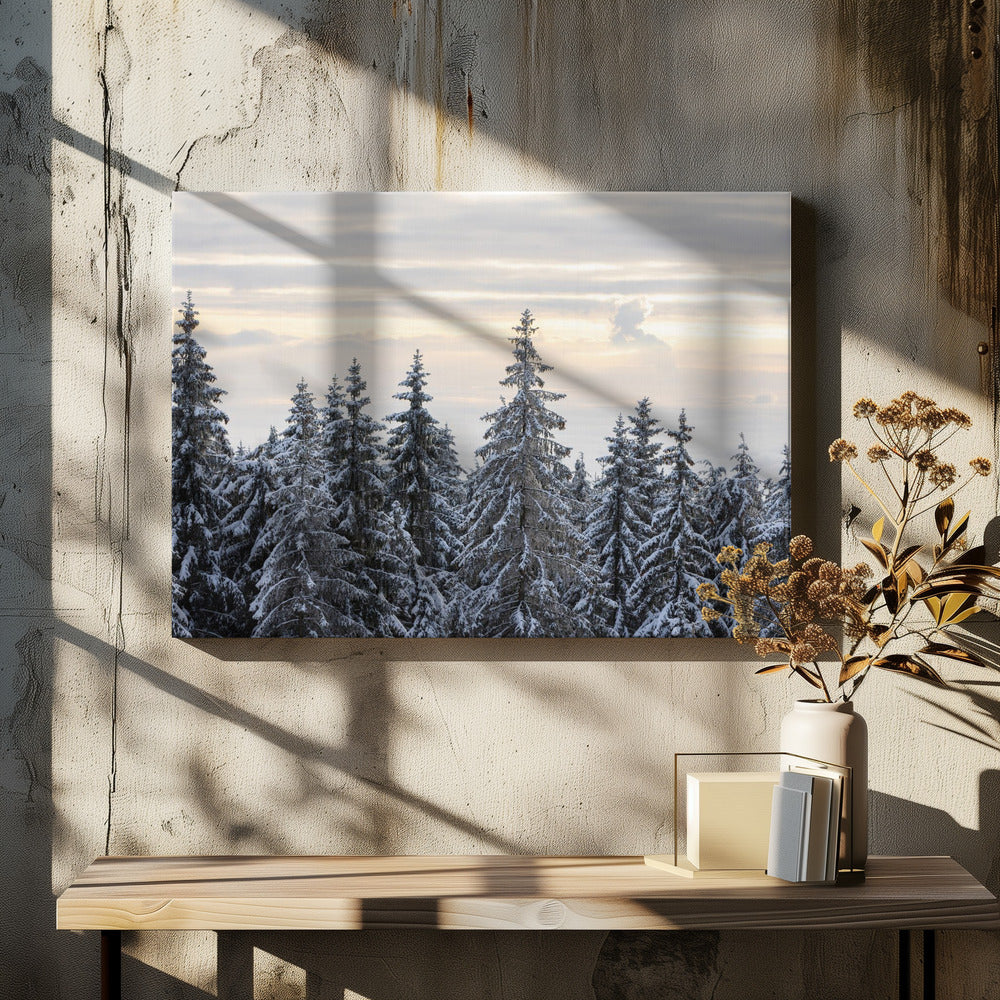 Snow Covered Trees 8 | Canvas