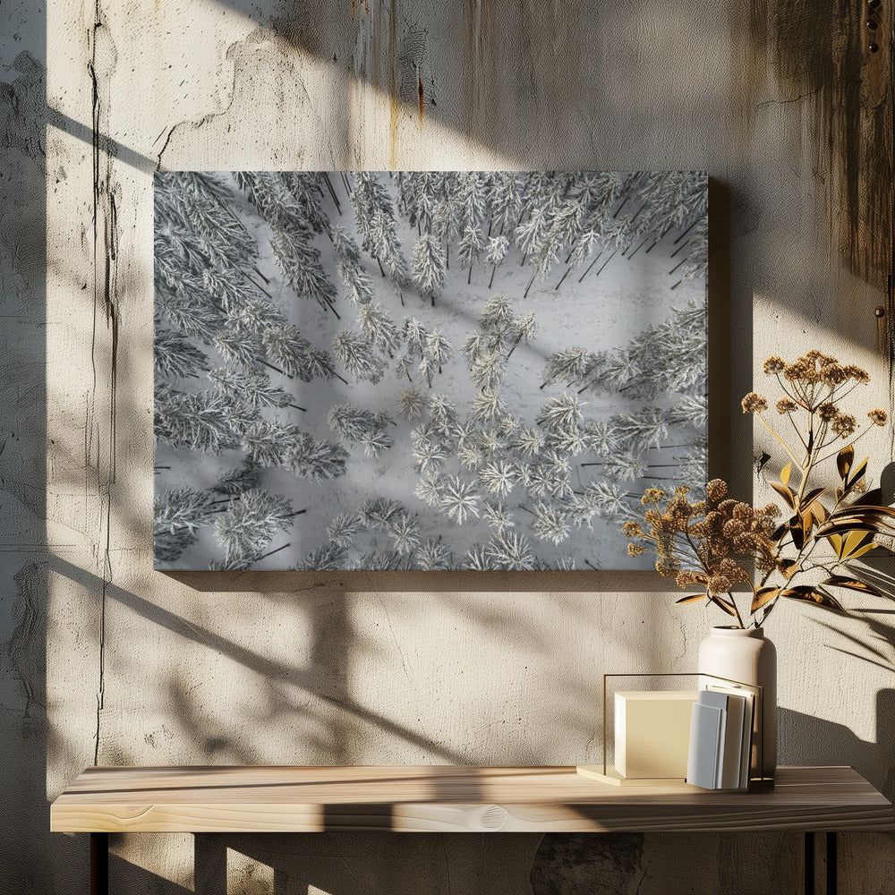 Snow Covered Trees 3 | Canvas