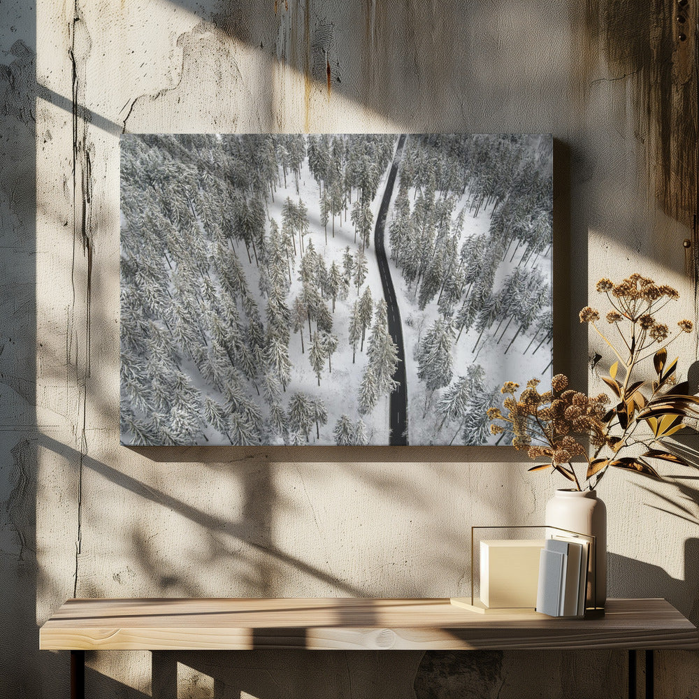 Snow Covered Trees 5 | Canvas