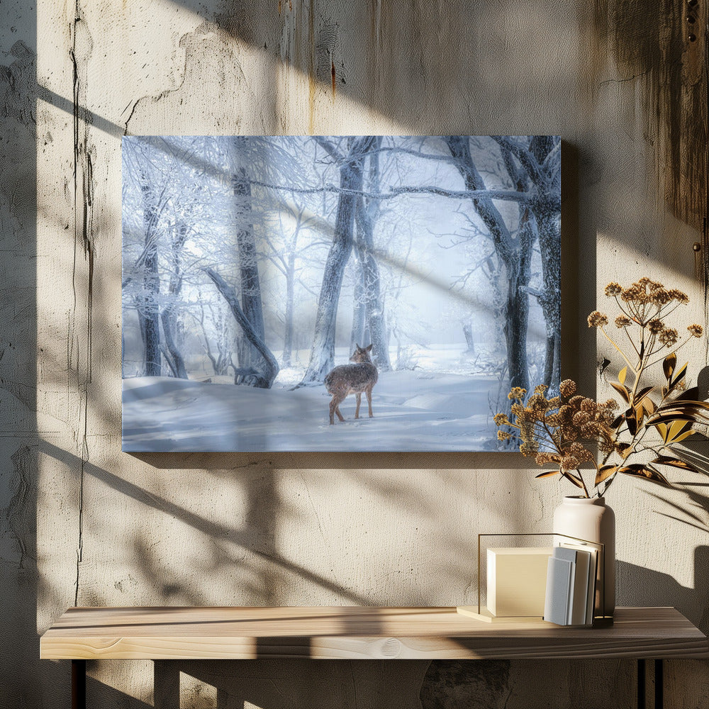 The Sika Deer in the Snowy Forest | Canvas