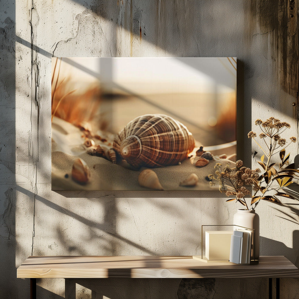Dunes' Silent Shells | Canvas