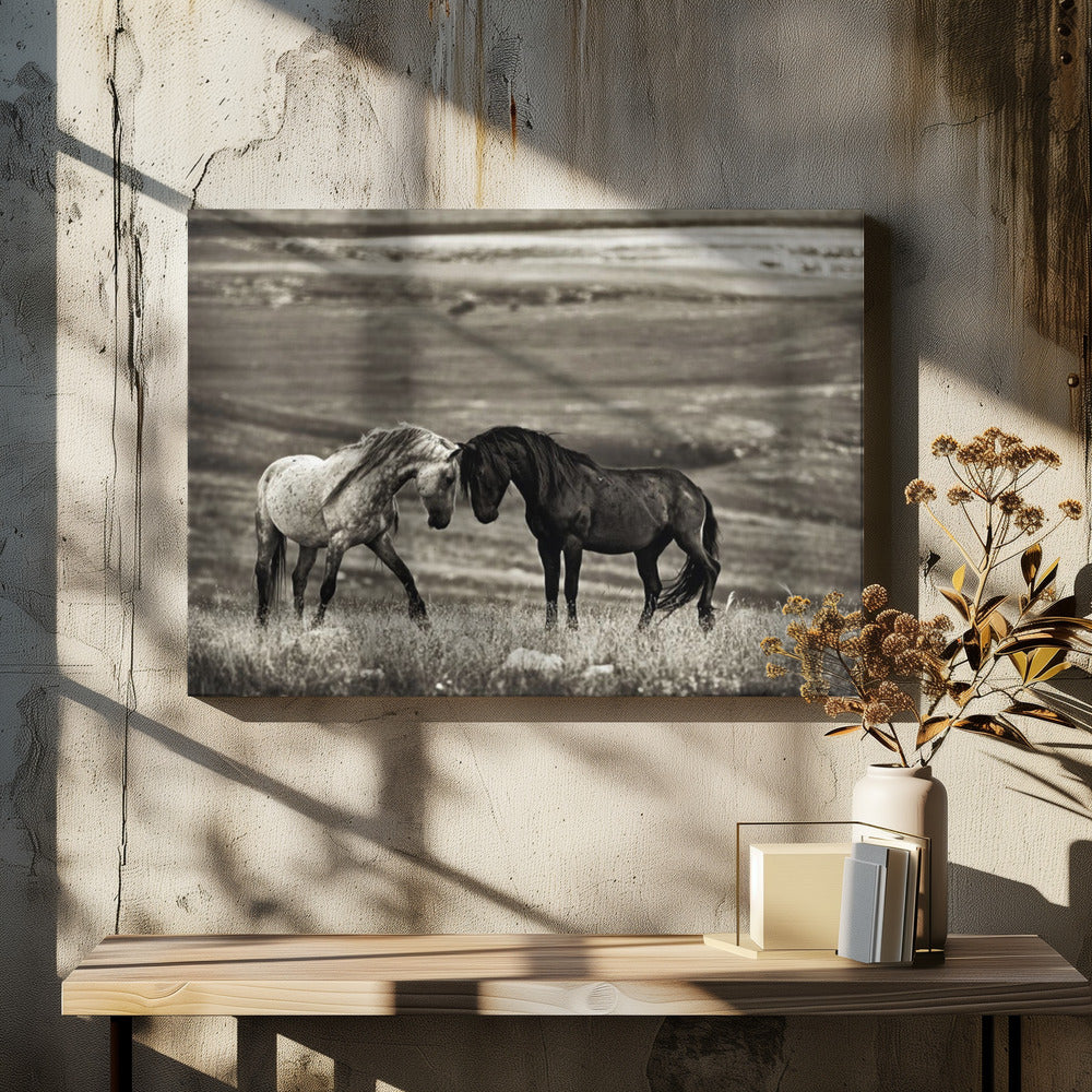 close encounter | Canvas