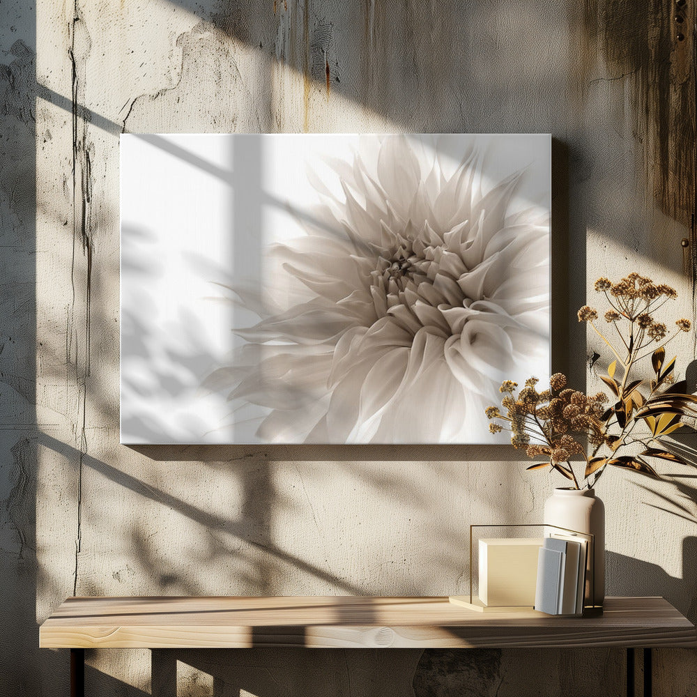 dignified | Canvas