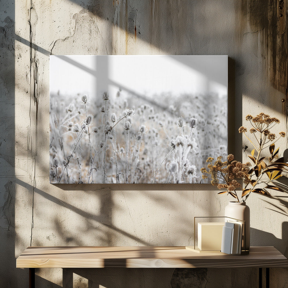 Winter Field 5 | Canvas