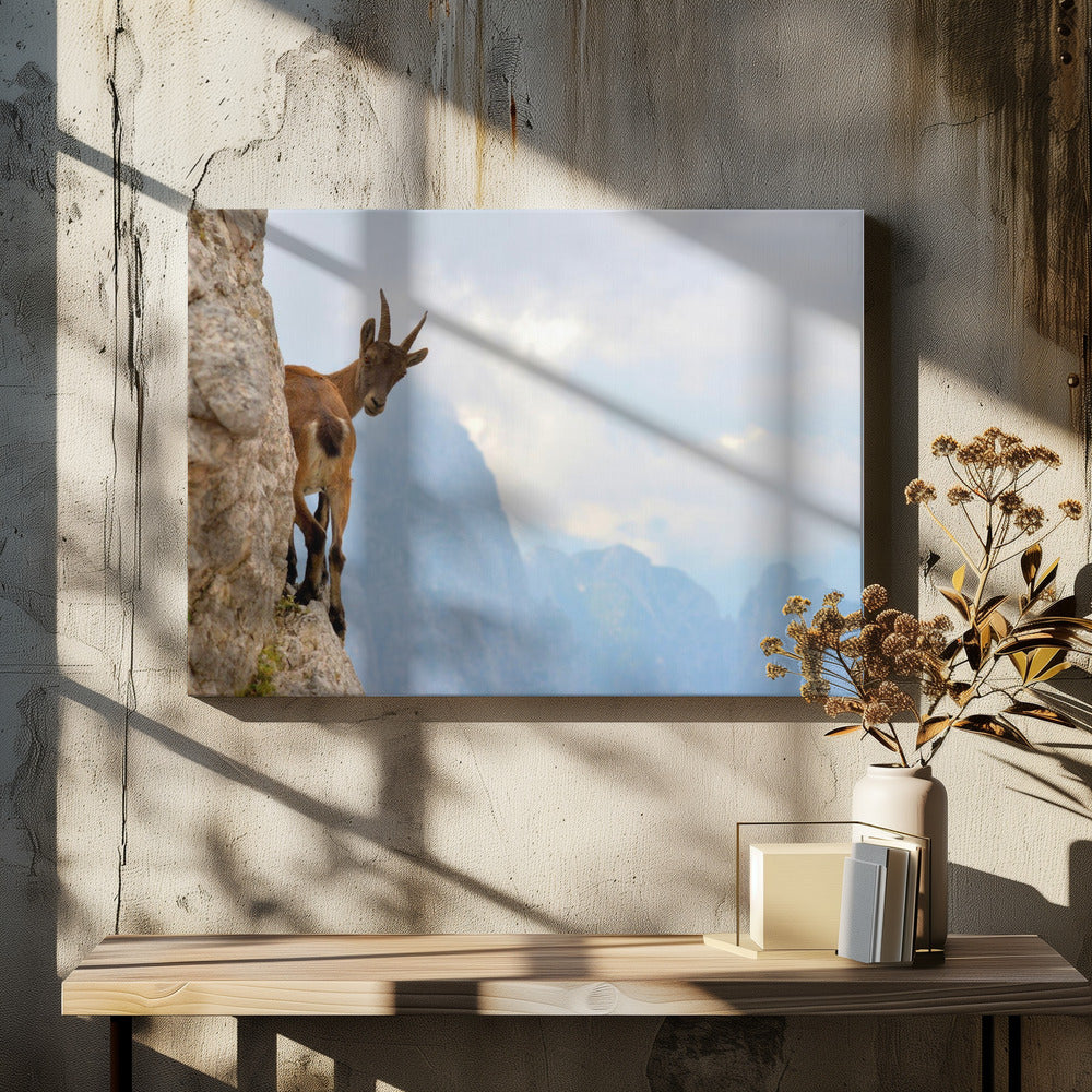 Suspense | Canvas