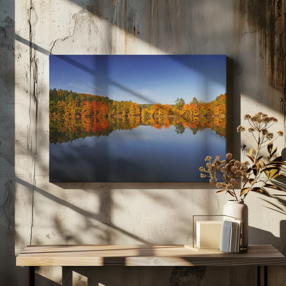 Autumn | Canvas