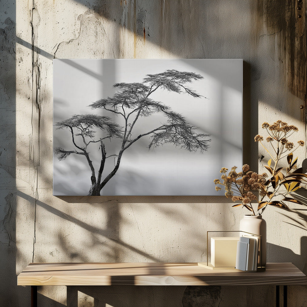 a very long story | Canvas