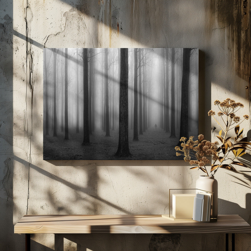 In a Fog | Canvas