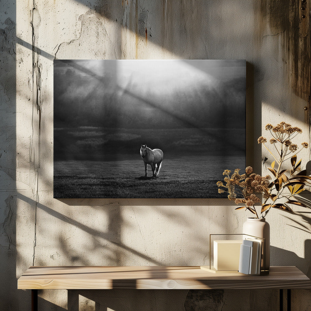 morning appearance | Canvas