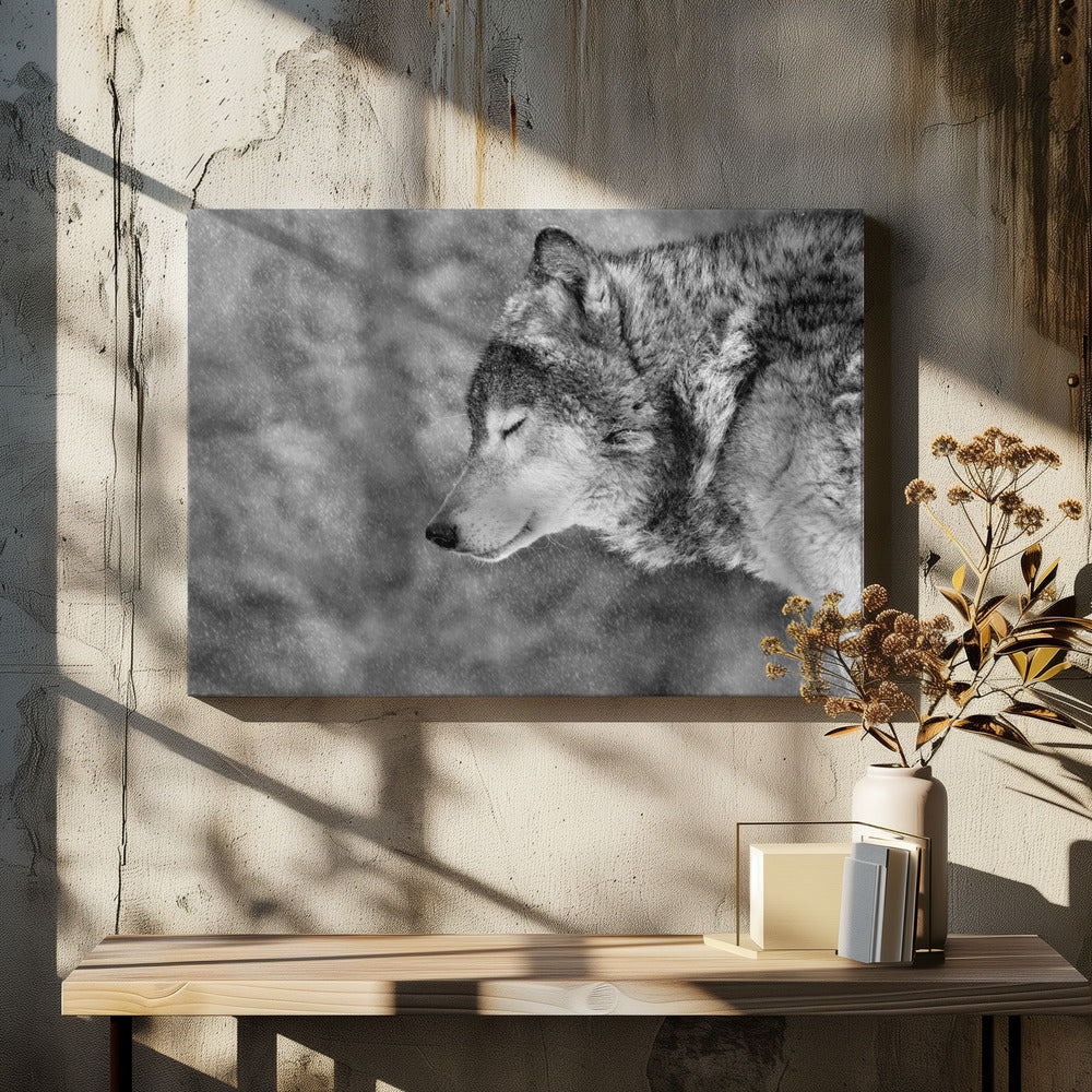 Let it snow | Canvas