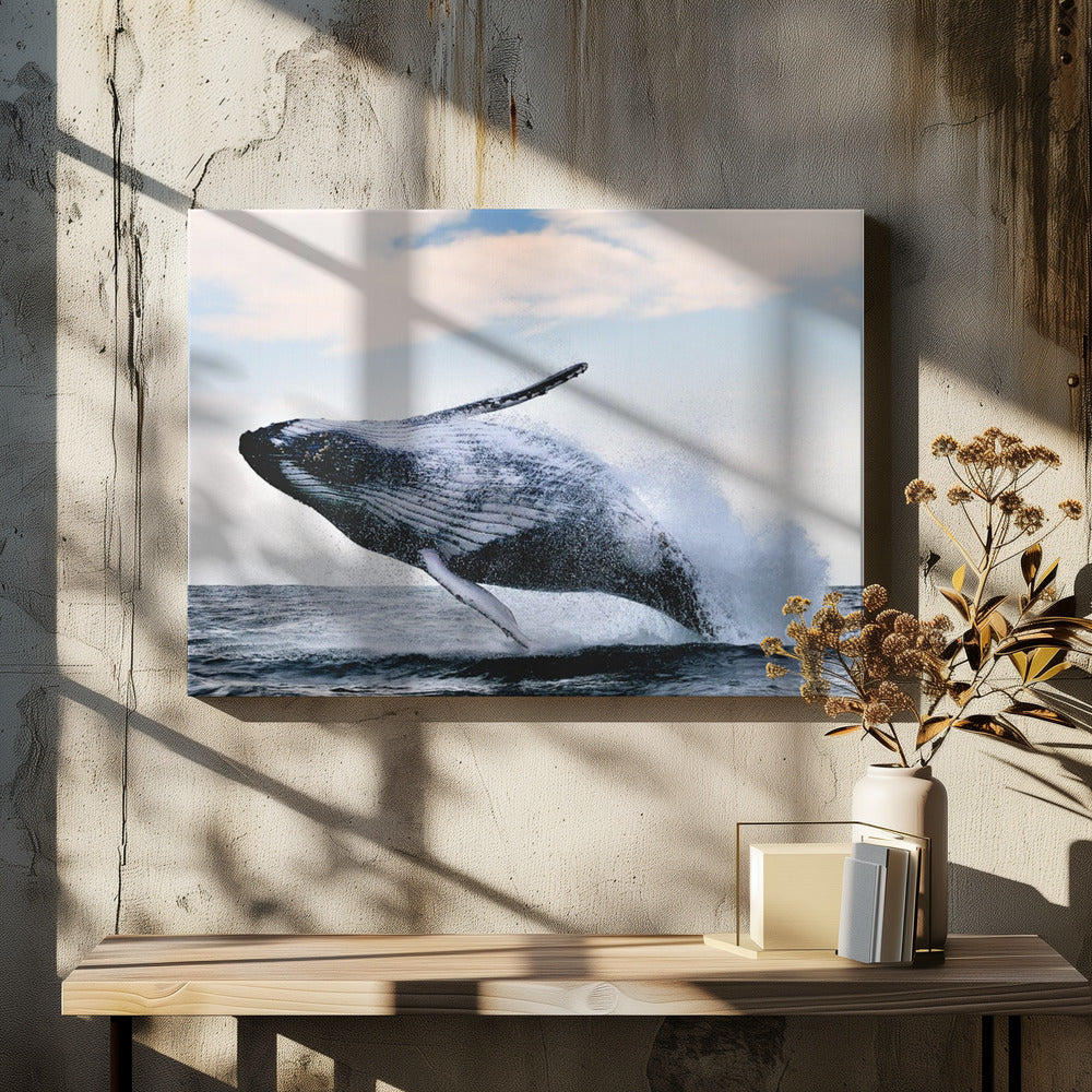breach | Canvas