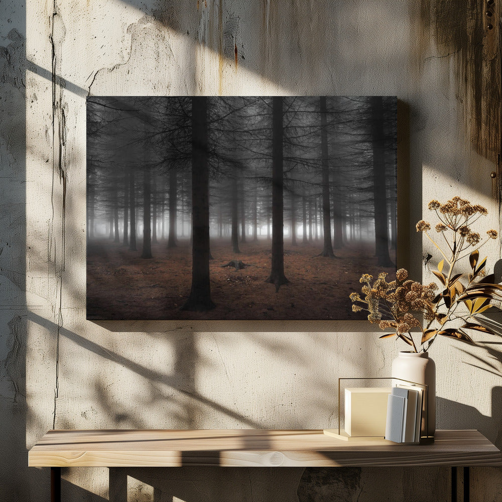 Silence | Canvas